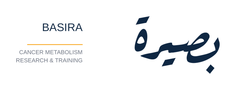 Basira